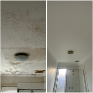 Mould transformation McGlashan Painting & Mould Solutions